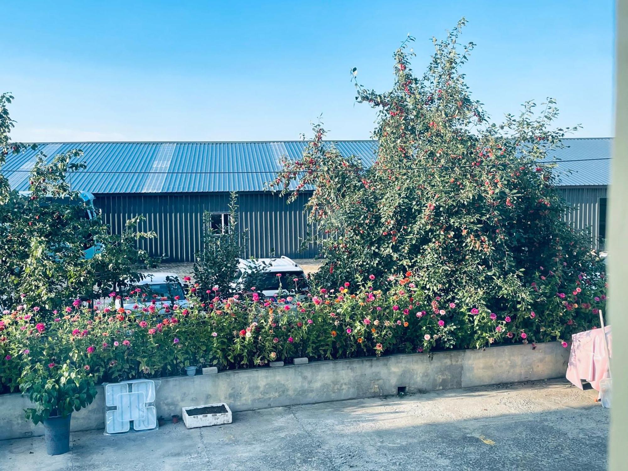 Hotel 哈尔滨机场东方红运宾馆 Exterior foto